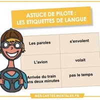 Astuce de pilote-etiquette de langue