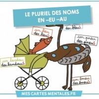 Astuces-pluriel des noms en eu et ou