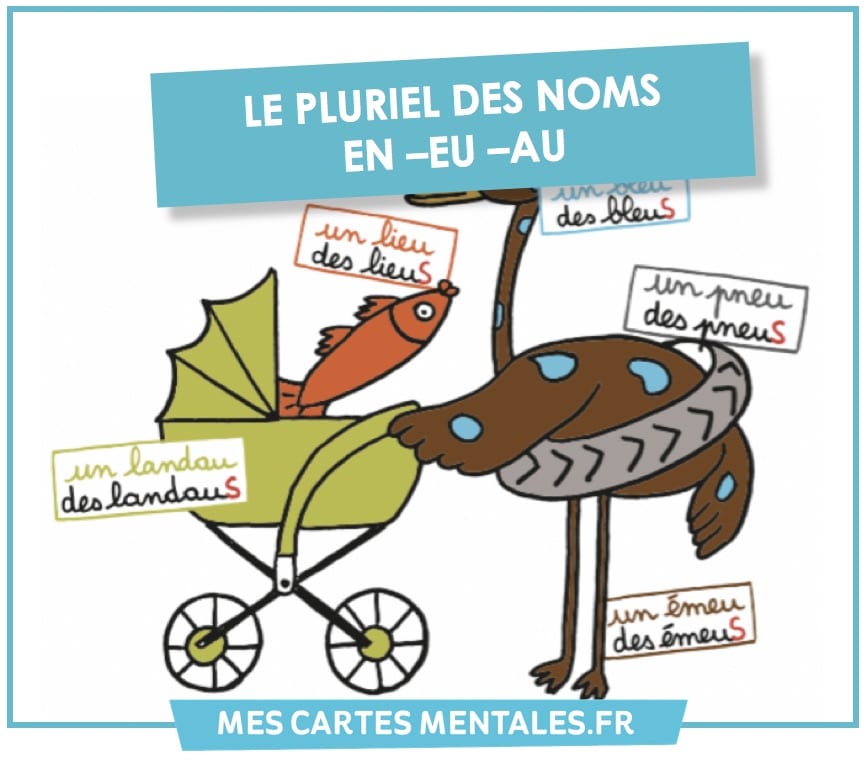 Astuces-pluriel des noms en eu et ou