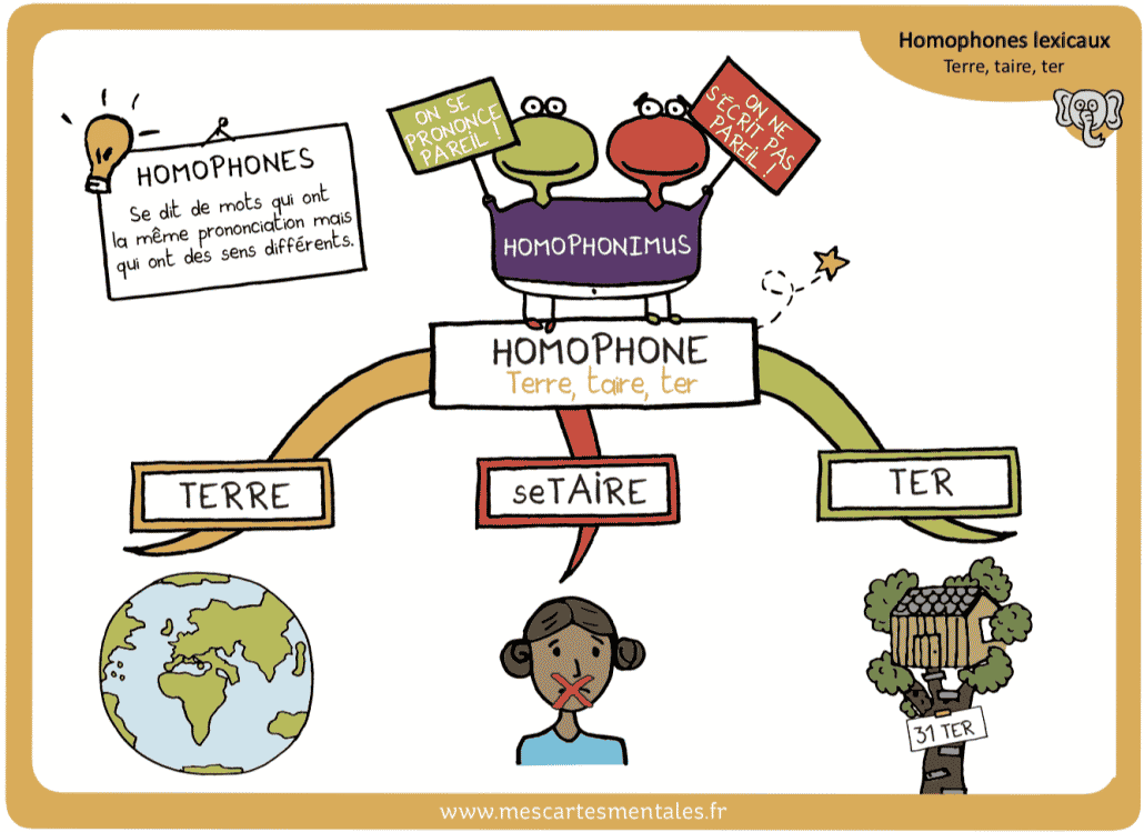 Homophone lexical TERRE TAIRE TER