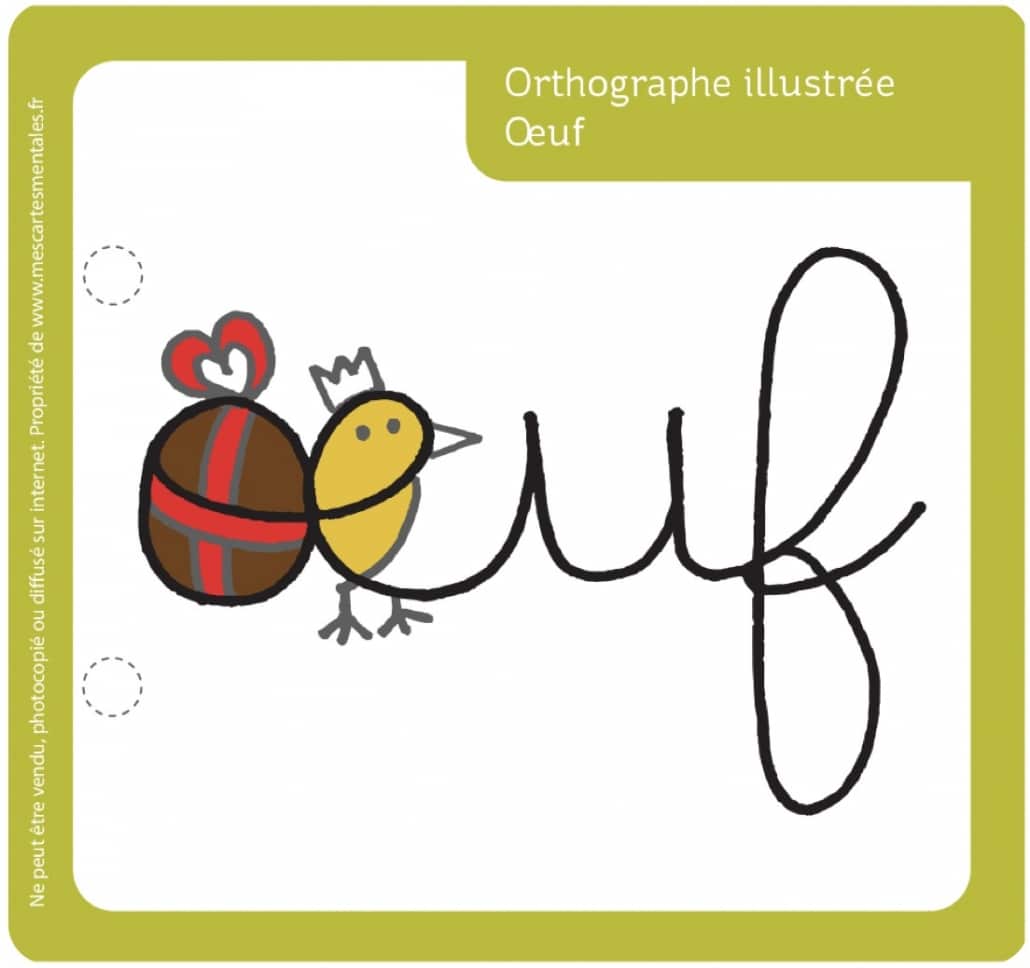 Orthographe illustree-oeuf