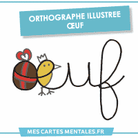 Orthographe illustree oeuf