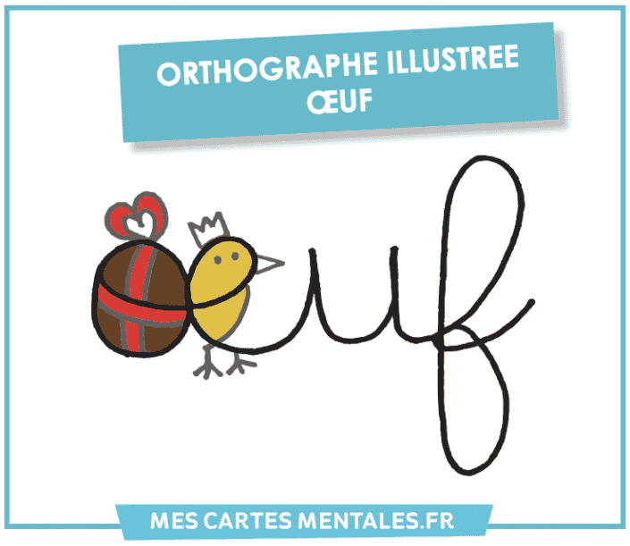 Orthographe illustree oeuf