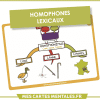 Homophones lexicaux Cane canne Cannes