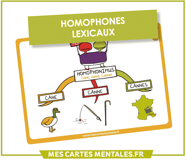 Homophones lexicaux Cane canne Cannes