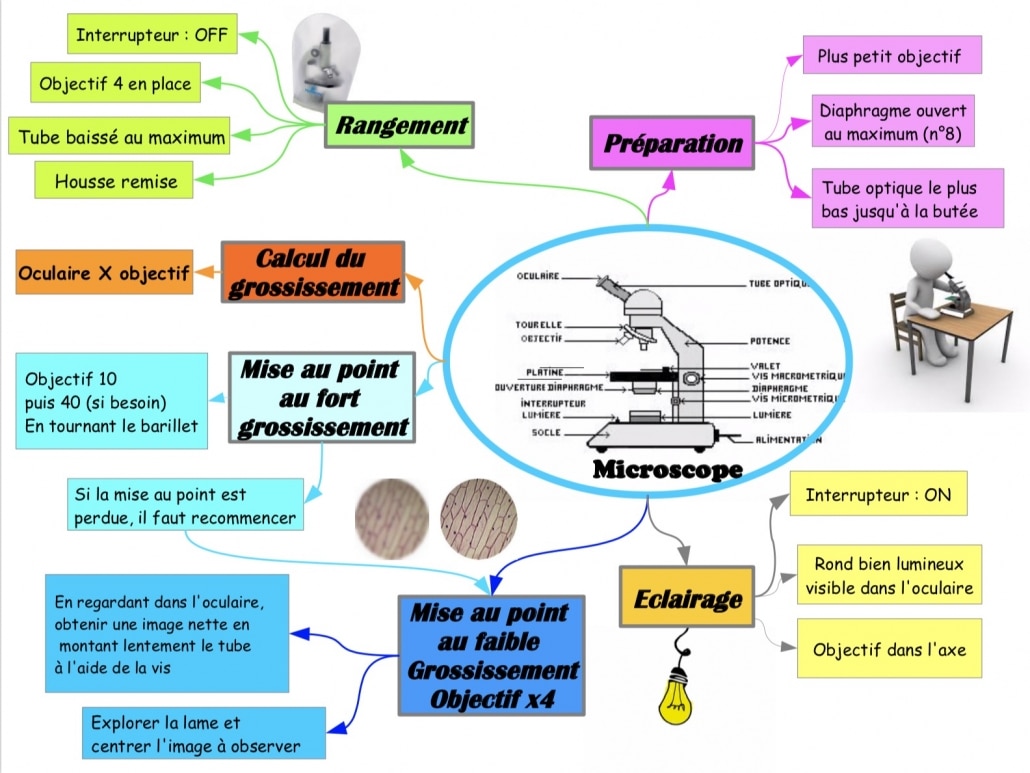 Carte mentale du micriscope