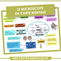 Microscope