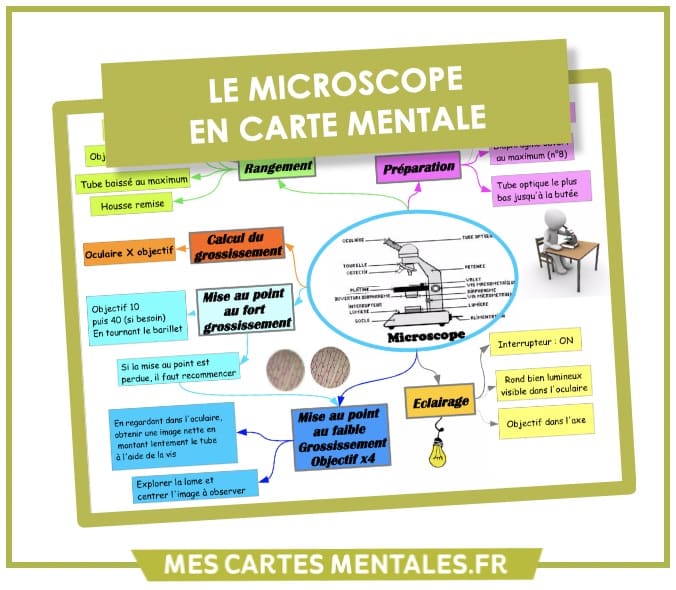 Microscope