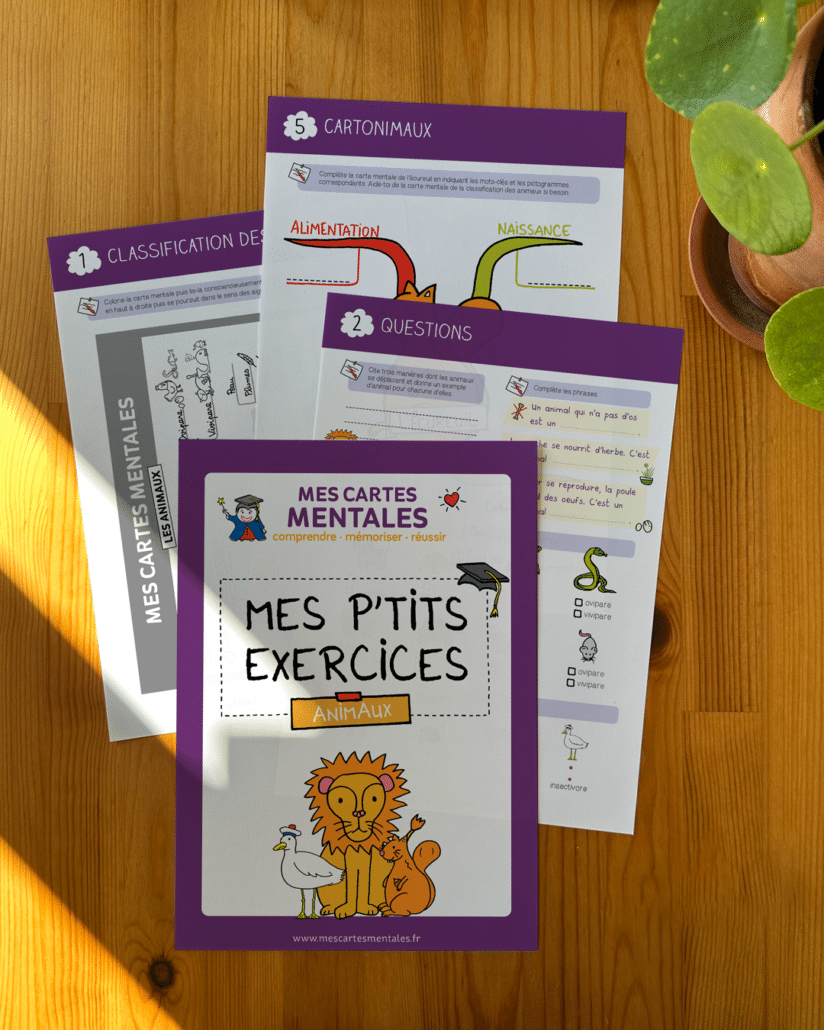 exercicesanimaux