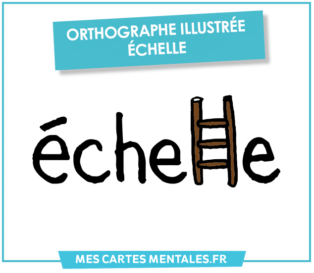 Orthographe illustrée : le mot ÉCHELLE - Mes cartes mentales