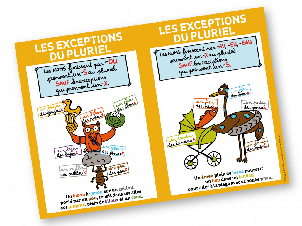 Les exceptions du pluriel (ou, au, eu) Affiche format A2