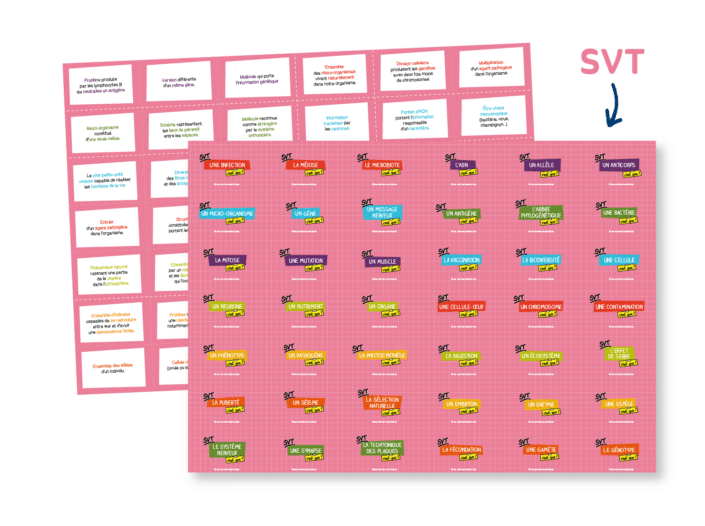 Flashcards SVT pour réviser son brevet et préparer l'épreuve de sciences