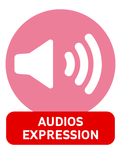 AudioExpression_bouton