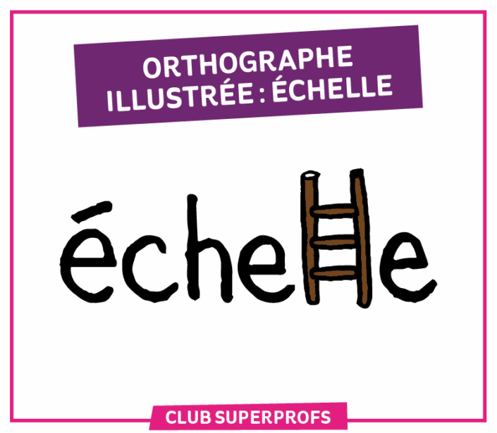 VignetteCSP_OrthoECHELLE