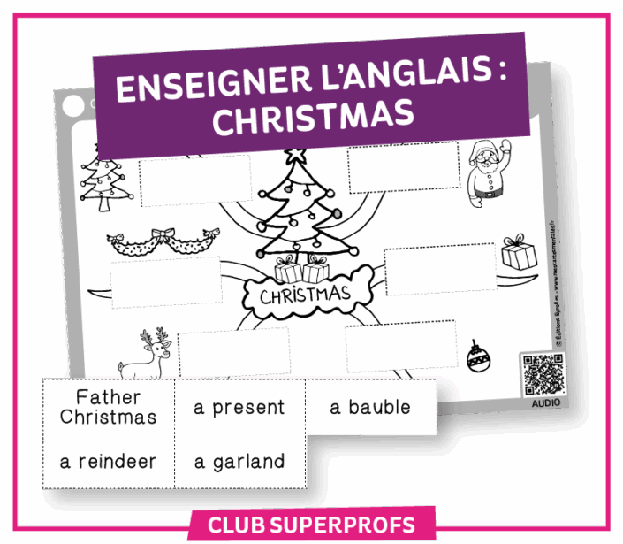 VignetteCSP_Christmas