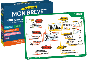 Cartes mentales brevet