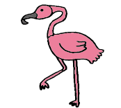 Flamingo