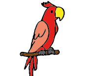 Parrot