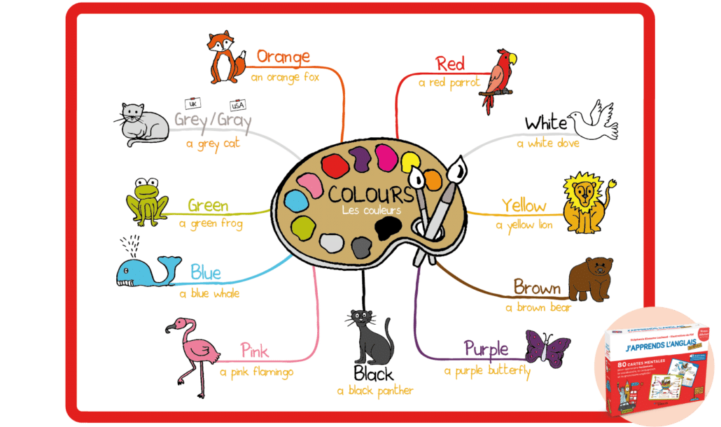 carte mentale couleurs en anglais