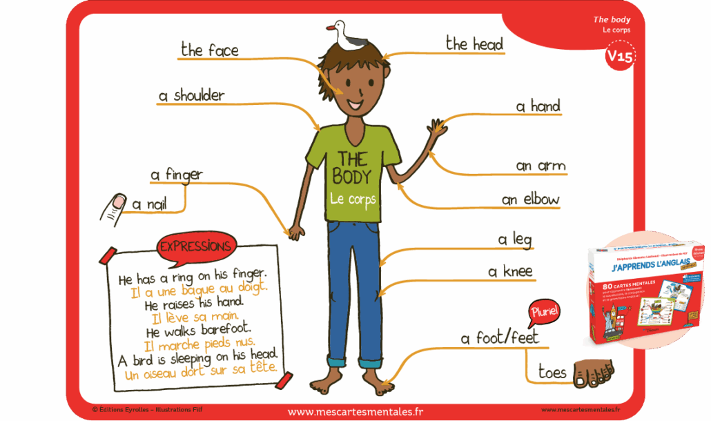 carte mentale couleurs en anglais