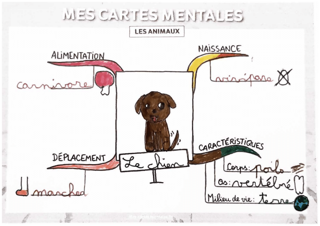 carte mentale présent