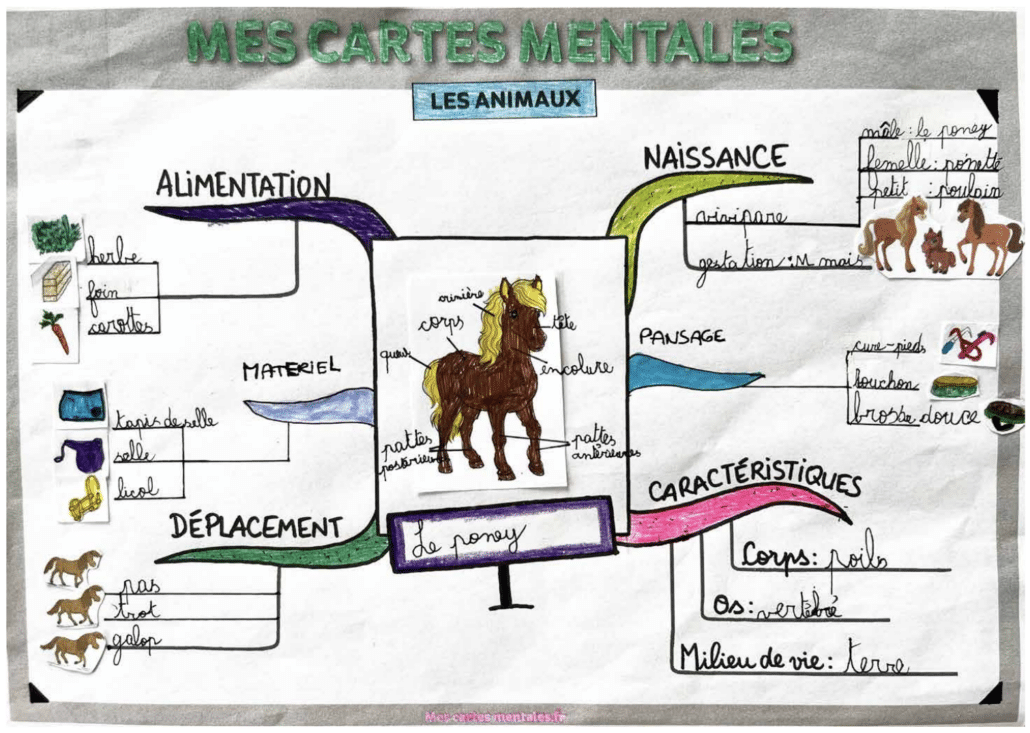 carte mentale présent