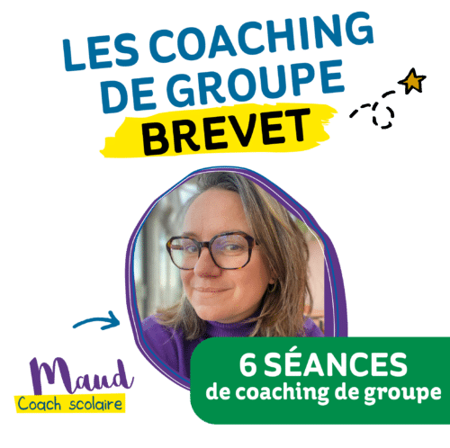Coaching brevet de 6 séances