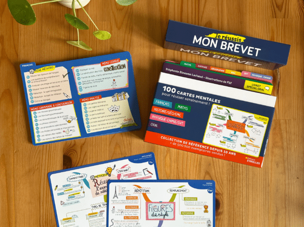 Carte mentale niveau 3e pour réussir l'épreuve de français du brevet