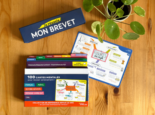 Fiche de révision figures de style en carte mentale niveau 3e pour réussir l'épreuve de français du brevet