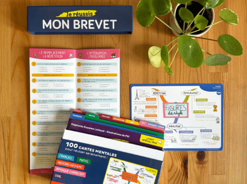 Carte mentale niveau 3e pour réussir son brevet et quiz de révision sur les figures de style