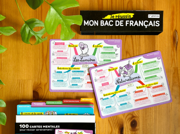 Coffret de 100 cartes mentales niveau première pour réussir son bac de français. Exemple de carte mentale sur le mouvement littéraire des Lumières et du Naturalisme