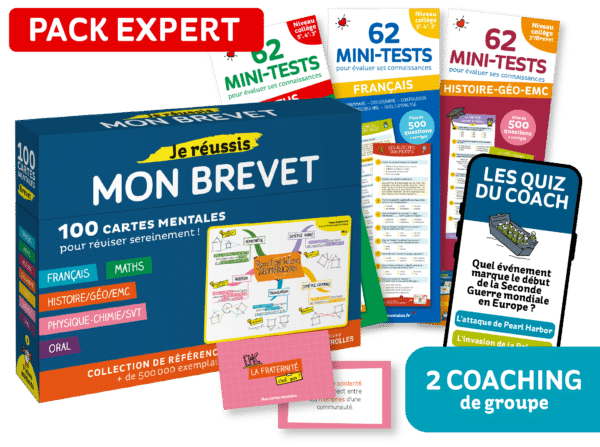 Pack expert cartes mentales brevet + 2 coaching de groupe