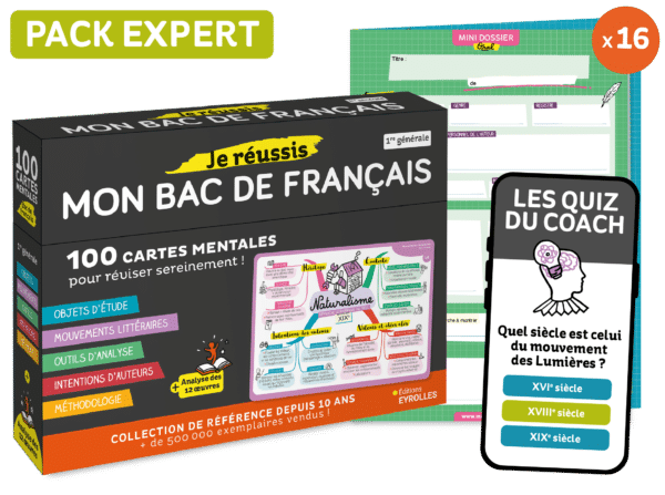 Pack-expert-coffret-fiches-bac-de-francais