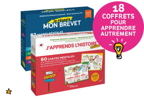 18 coffrets de cartes mentales du CP au bac de français 18 coffrets de cartes mentales du CP au bac de français